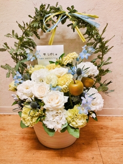 可愛いお花いただきました♪